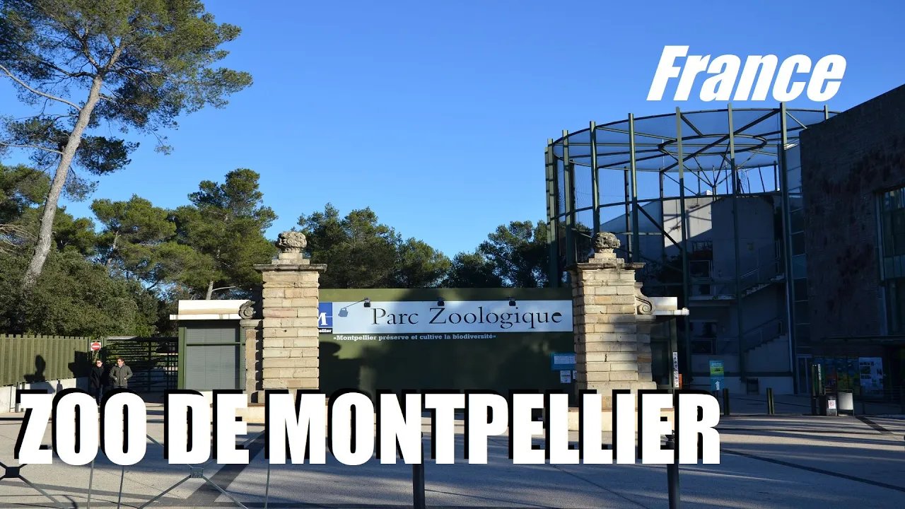 🦁 몽펠리에 동물원 - 뤼나레 공원 (주 드 몽펠리에 - 파크 드 뤼나레)